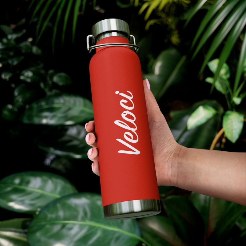 22oz Vacuum Insulated Bottle